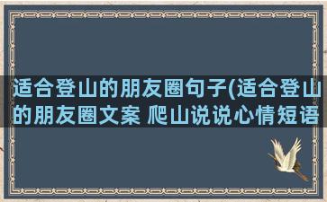 适合登山的朋友圈句子(适合登山的朋友圈文案 爬山说说心情短语)